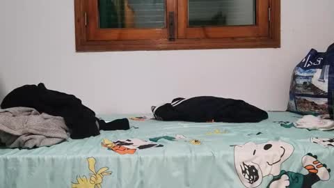 Andreu online show from 12-01-24, 08:31