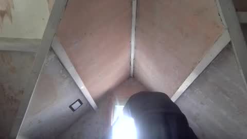 Andrew online show from 04-01-26, 01:23