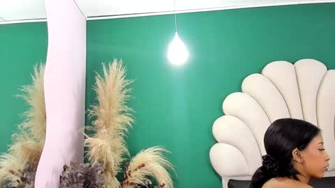 Snapshot of aneesaval chatting on 01-25-25, 02:58 ANEE SAVAL online show from 01-25-25, 02:58