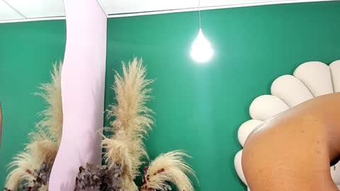 Snapshot of aneesaval chatting on 01-25-25, 06:02 ANEE SAVAL online show from 01-25-25, 06:02