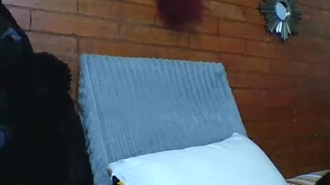 Snapshot of angela_mis chatting on 12-19-25, 07:10 Angela online show from 12-19-25, 07:10