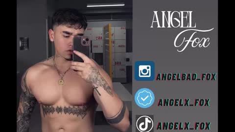 Angel Fox online show from 11-26-25, 03:40