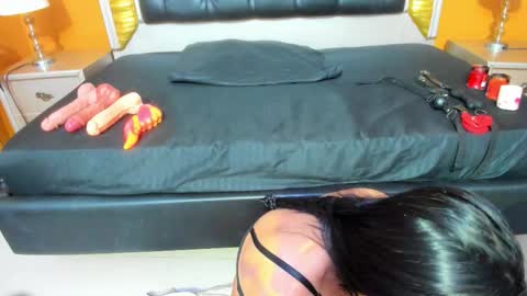 Ani  Time schedule 0600 - 1400 GMT -5 online show from 10-01-25, 11:05