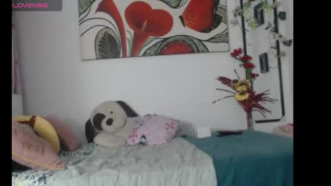 Anii Mantilla online show from 11-26-25, 09:21