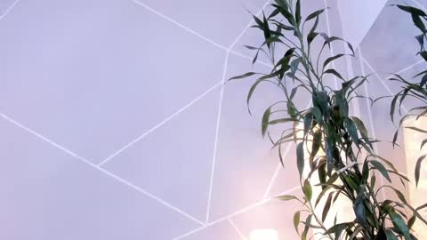 Anna online show from 12-13-24, 03:54