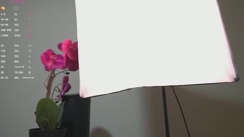 Ana online show from 09-13-25, 11:32