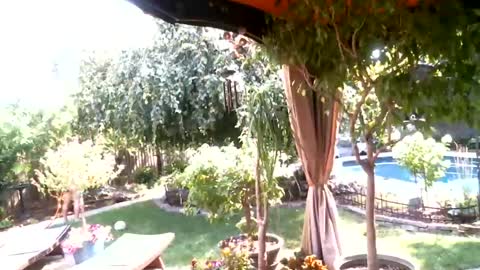 Snapshot of anoaklawnguy chatting on 07-26-26, 03:30 anoaklawnguy online show from 07-26-26, 03:30