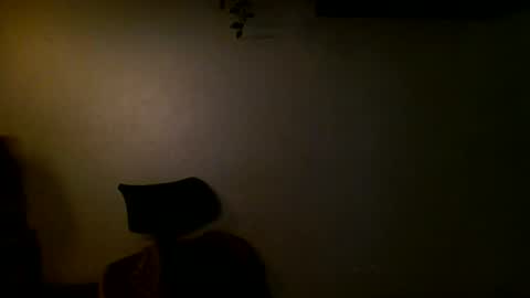 Ant online show from 12-11-24, 04:31