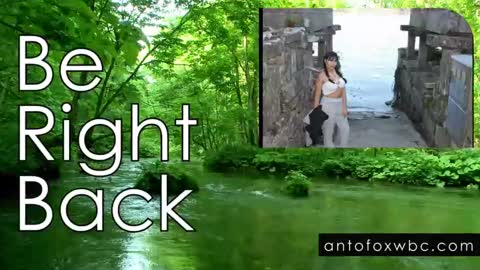 Snapshot of antofoxwbc chatting on 01-24-25, 10:53 Anto online show from 01-24-25, 10:53