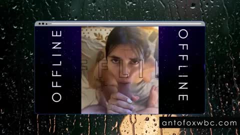 Snapshot of antofoxwbc chatting on 02-04-25, 05:53 Anto online show from 02-04-25, 05:53