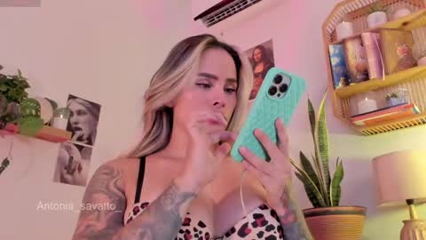 o ANTO online show from 04-11-26, 09:08