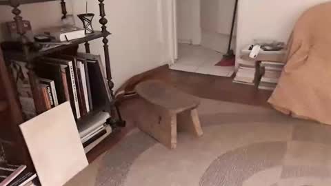 Snapshot of antonino85 chatting on 10-30-25, 10:10 antonino85 online show from 10-30-25, 10:10