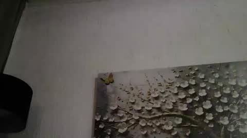 Snapshot of anybigtitts chatting on 03-01-26, 04:42 AnyBigTitts online show from 03-01-26, 04:42