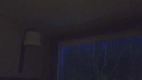 Daddy online show from 11-15-25, 02:31