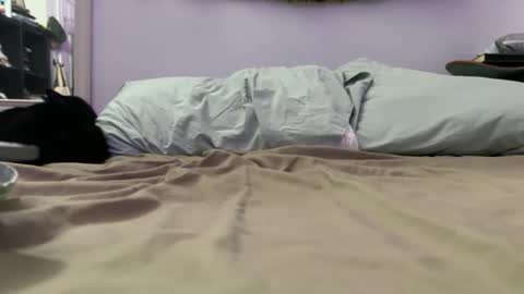 Snapshot of anytimexcowboy chatting on 12-04-25, 09:29 cowboy online show from 12-04-25, 09:29