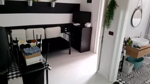 Snapshot of apollobest77 chatting on 01-19-25, 12:17 apollobest77 online show from 01-19-25, 12:17