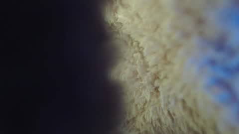 Abril Freelance Model online show from 02-05-25, 05:09