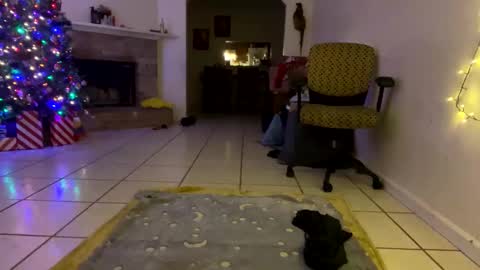 Snapshot of aprilanna chatting on 12-25-24, 01:10 AnnaApril420 online show from 12-25-24, 01:10