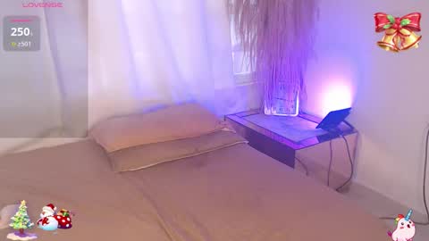          online show from 12-22-25, 02:14