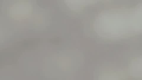 April online show from 01-15-25, 04:57