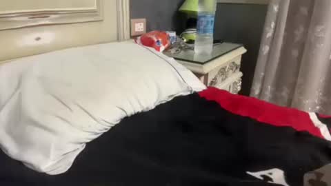 Snapshot of arabman991 chatting on 01-29-25, 01:05 Egyptian Man online show from 01-29-25, 01:05