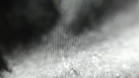 Snapshot of arantza_hill chatting on 06-17-26, 08:21 Arantza Hill online show from 06-17-26, 08:21