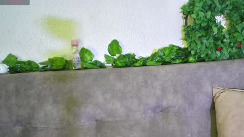 ari online show from 12-11-24, 06:04