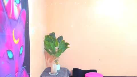 Snapshot of ariba_aribats chatting on 02-18-25, 01:11 VAL online show from 02-18-25, 01:11