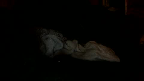 Snapshot of arley1966 chatting on 11-04-25, 02:43 arley1966 online show from 11-04-25, 02:43