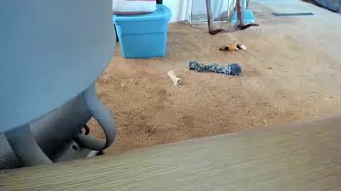 armalite16 online show from 10-12-25, 01:32