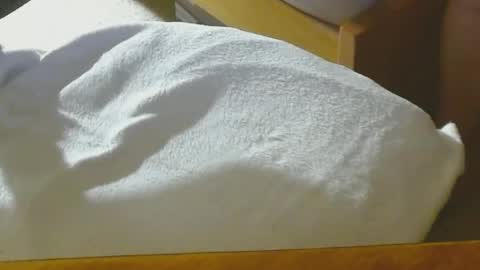 Arnie  online show from 12-22-24, 08:47