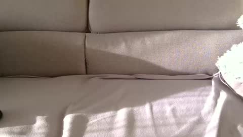 arpinopeer3055 online show from 11-05-25, 08:14