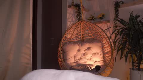 Snapshot of artemia_ chatting on 02-23-25, 01:46 Amanda online show from 02-23-25, 01:46