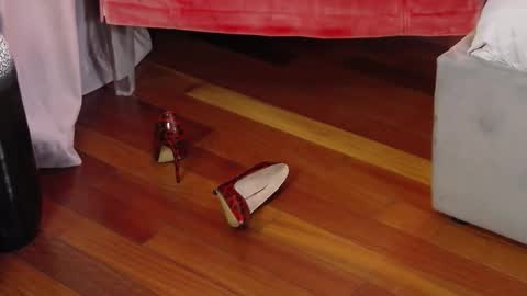 Aryana online show from 09-29-25, 05:34