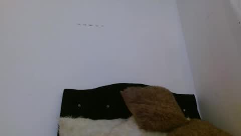 ASHLEY online show from 04-05-26, 02:25