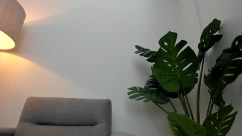 Snapshot of ashllovee_ chatting on 01-17-25, 01:24 ashllovee online show from 01-17-25, 01:24