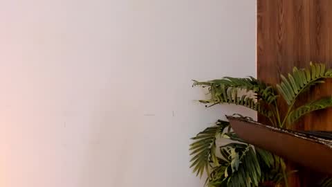 my name real is camilo online show from 12-28-24, 07:11