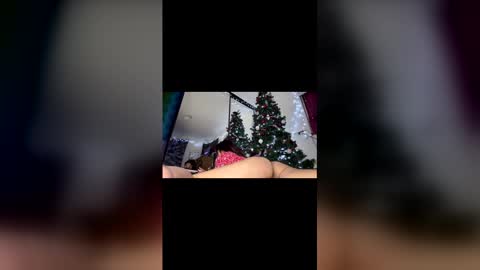 Snapshot of asian_babeee chatting on 12-02-25, 01:00 asian_babeee online show from 12-02-25, 01:00