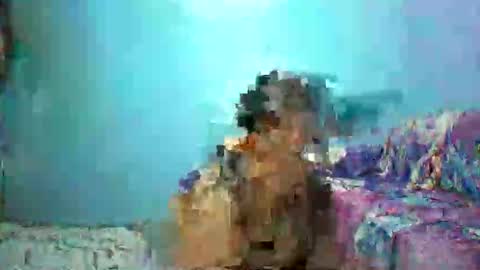 ann online show from 04-26-26, 04:26