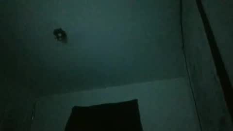 Snapshot of assilem277 chatting on 02-23-25, 07:44 danni travis online show from 02-23-25, 07:44