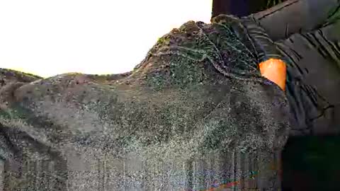 Snapshot of assiology11 chatting on 03-12-25, 08:41 Assiology online show from 03-12-25, 08:41