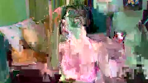 asuntapony online show from 09-11-25, 03:06