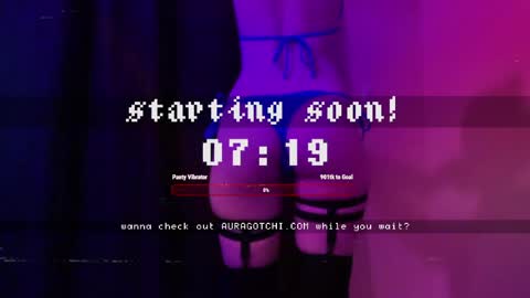 Snapshot of auragotchi chatting on 05-29-26, 04:43 Aurora Aura online show from 05-29-26, 04:43