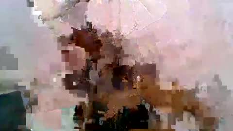 Snapshot of aurelia107 chatting on 05-31-26, 03:08 aurelia107 online show from 05-31-26, 03:08