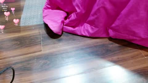 Snapshot of aurora_blossom__ chatting on 01-23-25, 12:41 Aurora online show from 01-23-25, 12:41