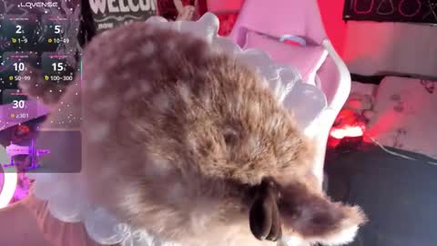 Snapshot of aurorachannn chatting on 11-27-25, 10:34 Aurora Channn online show from 11-27-25, 10:34