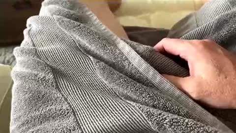 Aussie fatcock online show from 04-05-26, 12:52