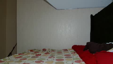 Avian online show from 11-02-25, 08:44