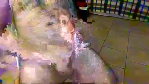 Snapshot of axisbest chatting on 10-26-25, 01:11 axisbest online show from 10-26-25, 01:11