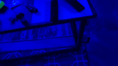 AylaTy online show from 09-28-25, 06:30